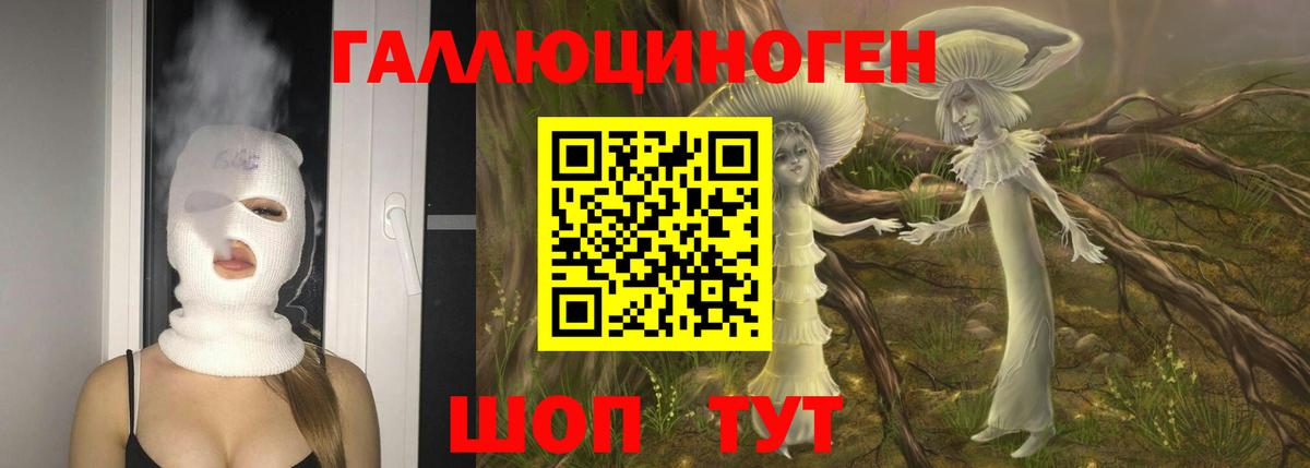 Галлюциногенные грибы прущие грибы  Вход с VPN  Усть-Илимск 